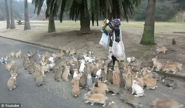 NYC Escorts are feeding bunnies.