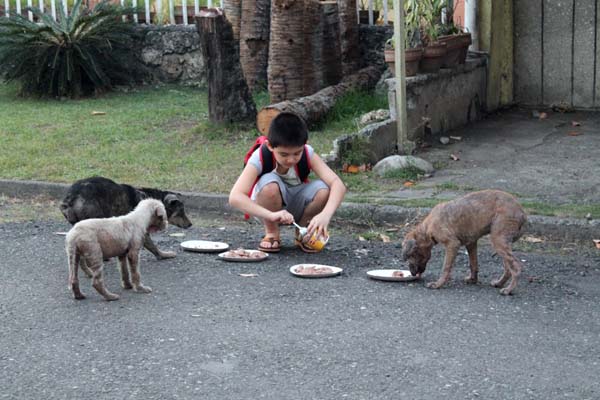 It turns out his son was taking those trips for the past two weeks to feed some stray dogs he met.