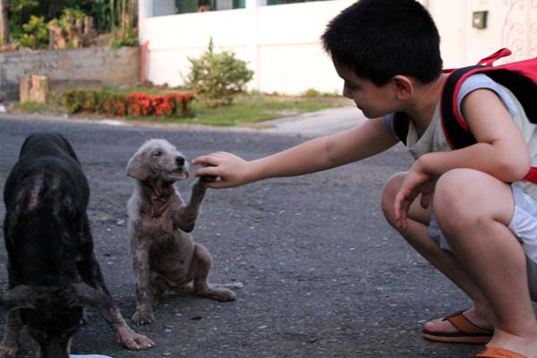 But even though they were afraid of humans, one seemed to be friendly.